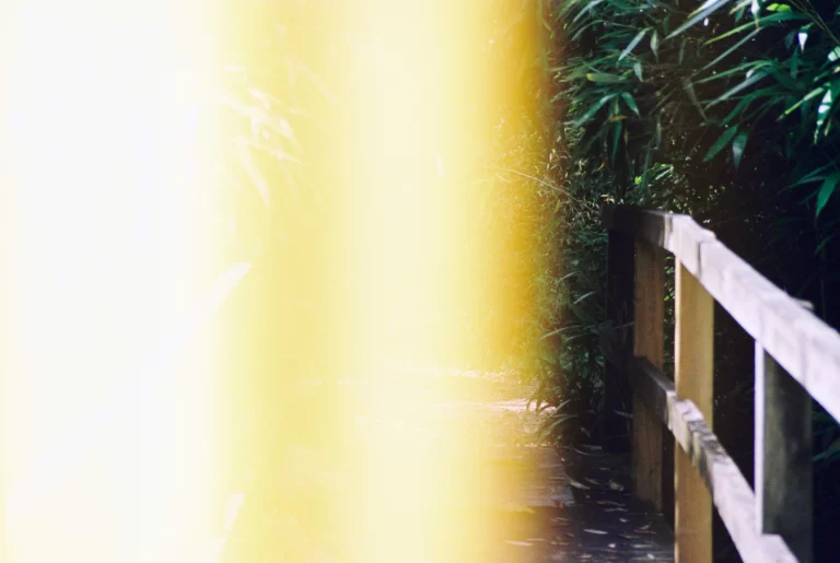 Ngày 4: Một ngày không thể suy nghĩ