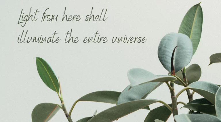 TDTU, ánh sáng và những suy nghĩ