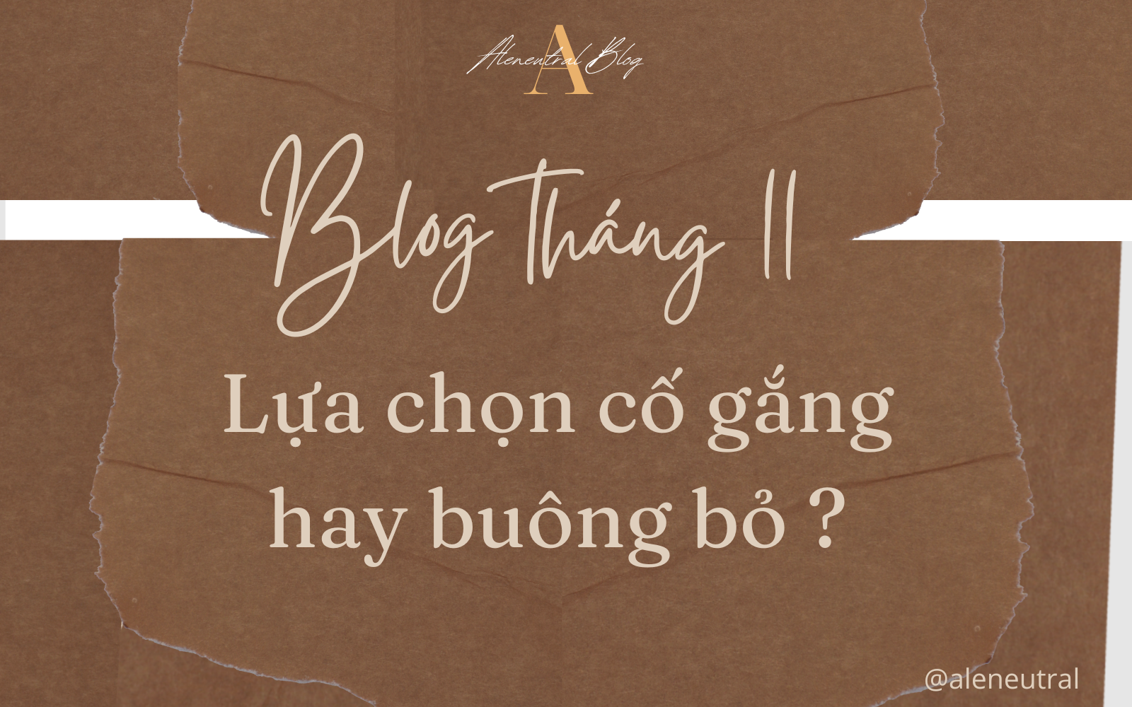 blog-thang-11-lua-chon-co-gang-hay-buong-bo